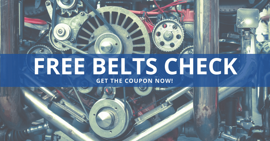 FREE BELTS CHECK NEWSLETTER-3