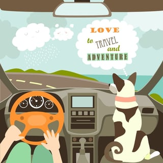 traveling-with-pets-778923-edited.jpg
