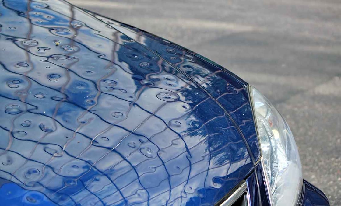 Hail Damage